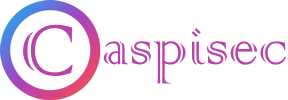 Caspisec / Professional Security Tests / Penetration Tests